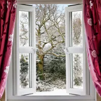 Božična zvezda ne mara prepiha, neposrednega sonca in previsokih temperatur.