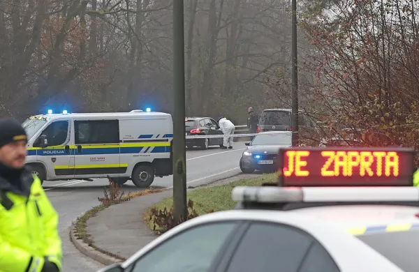 Likvidacija Satka Zovka se je zgodila na Poti za Brdom v 
Ljubljani.