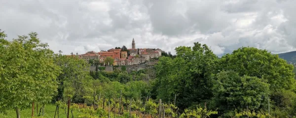 Pogled na Labin iz Presike,  iz vinograda pred gostilno Tina

