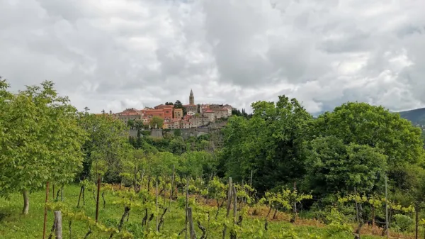 Pogled na Labin iz Presike,  iz vinograda pred gostilno Tina

