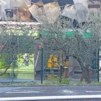 Domačini so  slišali  tudi več  pokov  in eksplozij,  plinskih  jeklenk  pa  
ogenj  ni  uničil. 