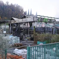 Ogenj je ponoči uničil trgovino Agrarie v Luciji