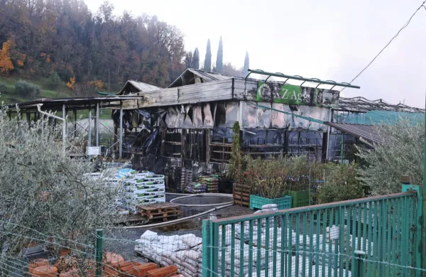 Plameni so prizanesli le delu vrtnega programa zunaj trgovine, 
vendar je temperatura verjetno trajno poškodovala rastline, 
gnojila in druge izdelke.
