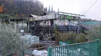 Plameni so prizanesli le delu vrtnega programa zunaj trgovine, 
vendar je temperatura verjetno trajno poškodovala rastline, 
gnojila in druge izdelke.