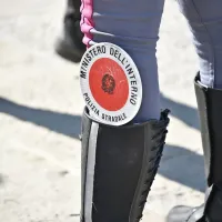 Stroge  kazni  čakajo tudi  tiste,  ki bodo na  cestah  zapustili  domače  
živali.  
