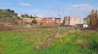 Koprska občina bo urbane vrtičke uredila od soseske Lantana (na 
fotografiji levo) proti dolini.
