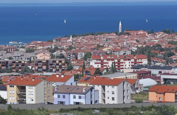Trg nepremičnin letos čaka kar nekaj sprememb. Kako bodo te vplivale na prodajo ter cene stanovanj in hiš? 