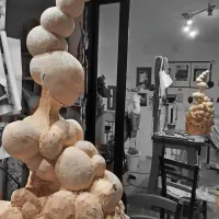 Vse eksponate  bo v taktilni galeriji mogoče  videti in otipati. 