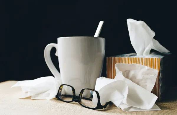 Vrh sezone gripe pričakujejo čez približno mesec dni, sicer pa 
lahko sezona obolenj traja do marca.