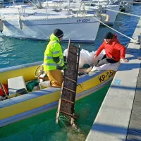 Nemarneži so se znebili tudi stopničk za vzpon na ladjo  - tako da 
so jih vrgli v morje.