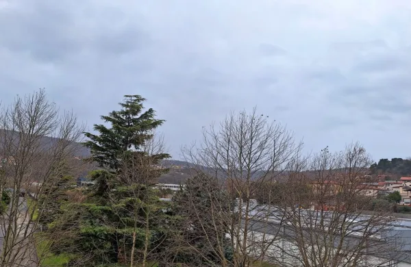 Danes bo na Primorskem deževalo.