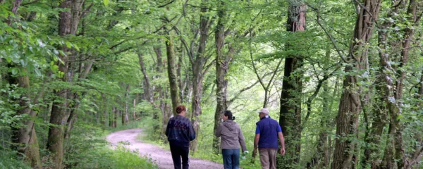 Pohod lahko pomeni tudi druženje in spoznavanje novih ljudi.