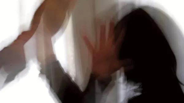 

Če  bodo  spremembe  sprejete,  bo umor v družini v  primerjavi z  
navadnim  ubojem   strožje sankcioniran.