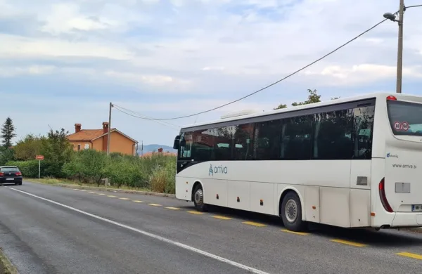 

V Obalni dijaški skupnosti opozarjajo, da imajo še posebej v krajih 
v zaledju dijaki največ težav glede rednosti dohodov.