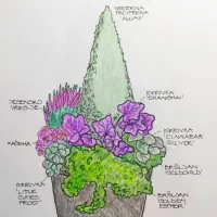 Barvite zimske zasaditve v posodah