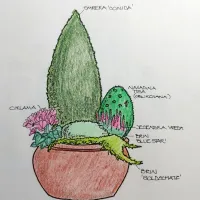 Barvite zimske zasaditve v posodah