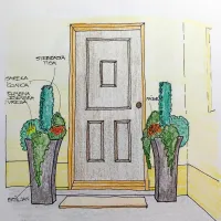 Barvite zimske zasaditve v posodah