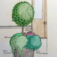 Barvite zimske zasaditve v posodah