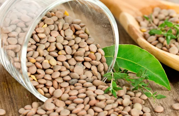 

Zelena leča je nekoliko večja, zato jo je dan pred pripravo treba 
namakati.