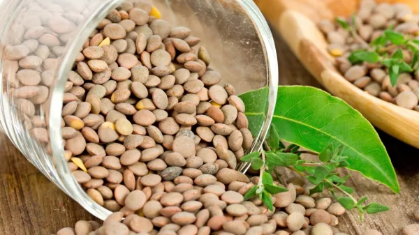 

Zelena leča je nekoliko večja, zato jo je dan pred pripravo treba 
namakati.