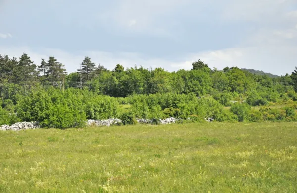 Del zemljišč na Orleški gmajni, ki jih je pred 17 leti kupila Luka 
Koper.