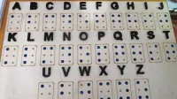 Brajeva pisava, ki jo je slepim kolegom pred 200 leti predstavil francoski deček Louis Braille, zlasti  povsem slepim omogoča 
neodvisen vstop v polno življenje. 