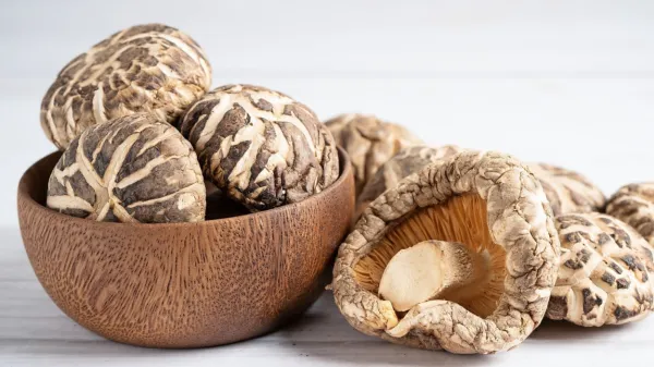 

Šitake spadajo med pomembnejša živila pri krepitvi imunskega sistema.

