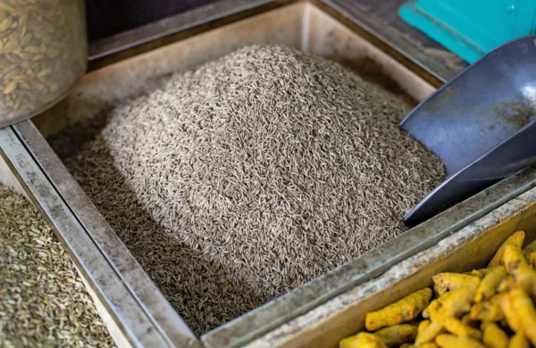 

Kuminovo olje deluje fungicidno in pomaga pri različnih glivičnih 
obolenjih.