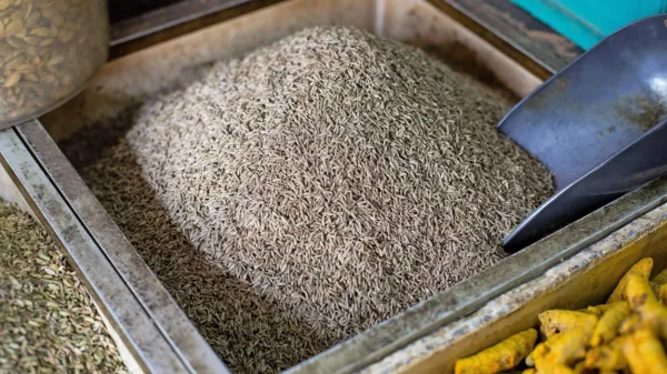 

Kuminovo olje deluje fungicidno in pomaga pri različnih glivičnih 
obolenjih.