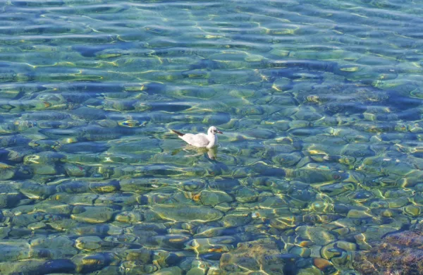  Danes bo še jasno, jutri pa se bo že pooblačilo. 