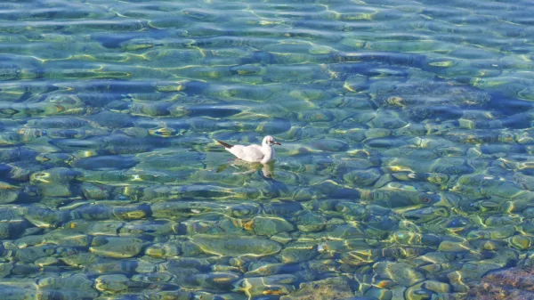  Danes bo še jasno, jutri pa se bo že pooblačilo. 