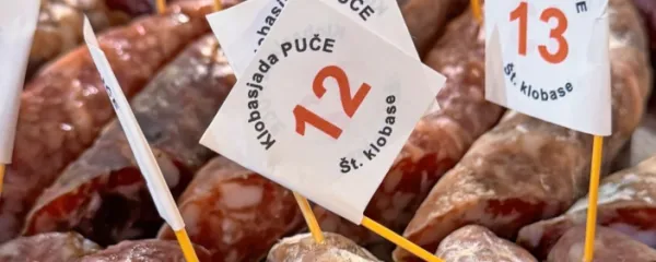 Lani je bilo na Pučah 48 vzorcev v ocenjevanju, koliko jih bo 
nocoj?