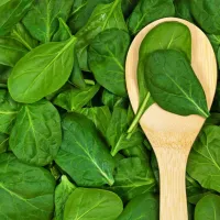 

Listnata zelenjava vsebuje le malo vode in ta pod vplivom 
mikrovalov zelo hitro izpari.