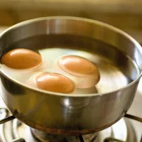 

Najbolj varno bomo jajca skuhali na stari, a preizkušeni način - v 
vreli vodi na kuhalni plošči.