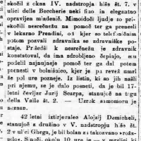 

 Časopisno poročanje o samomorih v Edinosti iz leta 1904.

