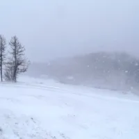 Sneg pobelil vi&scaron;je ležeče dele Primorske (FOTO)