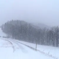 Sneg pobelil vi&scaron;je ležeče dele Primorske (FOTO)