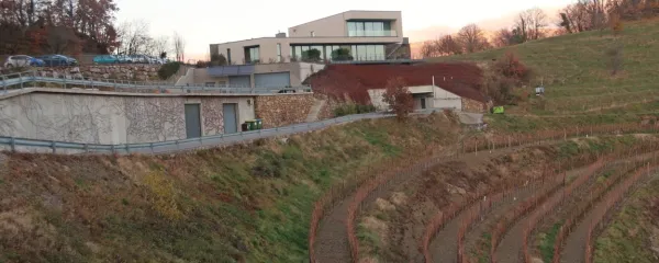 V celotni biodinamični pridelavi se po svetu, delno tudi v Sloveniji, 
najhitreje širi tovrstno vinarstvo. Na fotografiji dih jemajoče 
vinarstvo in turistična kmetija Guerila na Planini nad Ajdovščino.