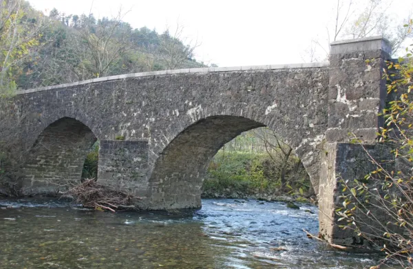 Na seznamu  Moja pobuda 2025 je rekonstrukcija kapelice na 
Napoleonovem mostu v Dolenjah. 