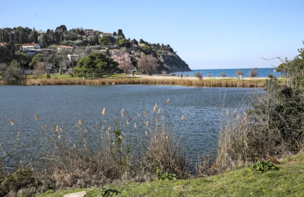 Ob morju bo popoldne pihal maestral.