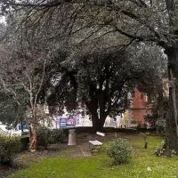 V Portorožu urejajo in osvežujejo zeleno oazo (FOTO)