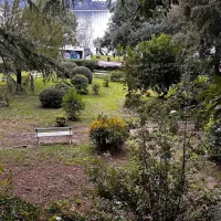 V Portorožu urejajo in osvežujejo zeleno oazo (FOTO)