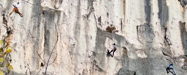 Nora plačna uravnilovka