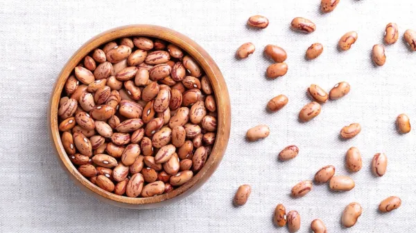 Najboljši je sušen ali zamrznjen domači fižol. Pred uporabo ga čez noč 
namočite.

