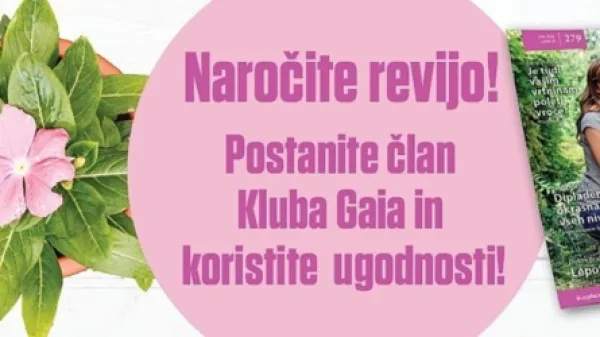 Priprava trate na poletno vročino