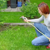 V poletnih vročih dneh trata rabi temeljito namakanje in ne le rosenje.