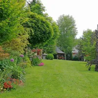 Skrbno negovana trata  članice Kluba Gaia Lidije Knavs.