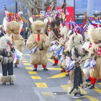 (FOTO) Pustu je dovoljeno (skoraj) vse