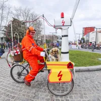 (FOTO) Pustu je dovoljeno (skoraj) vse