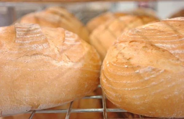 Fotografija je simbolična.